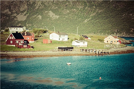 特色,挪威,渔村,传统,红色,小屋