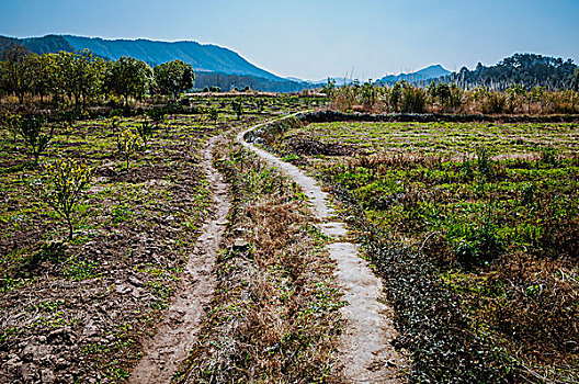 乡村小路