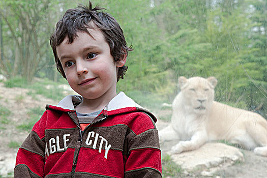 男孩,正面,狮子,展示,动物园,头像