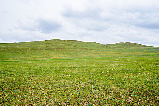 草原山峰