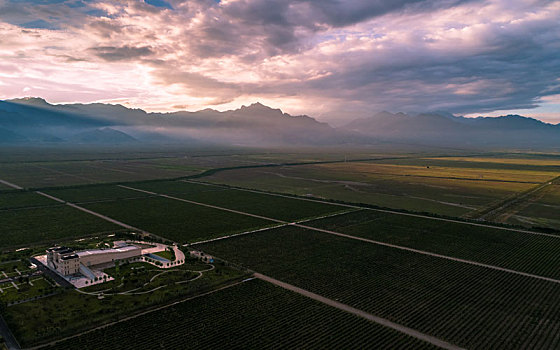 贺兰,山东