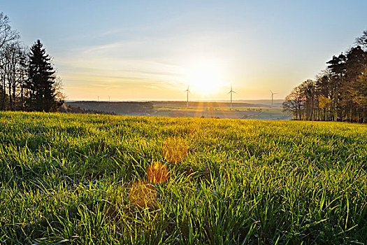 草地,春天,日出,风轮机,背景,米尔顿堡,奥登瓦尔德,巴伐利亚,德国