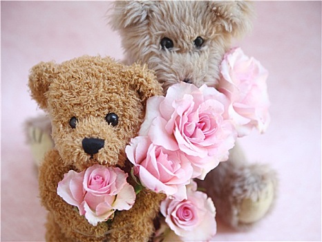 两个,泰迪熊,拿着,玫瑰
