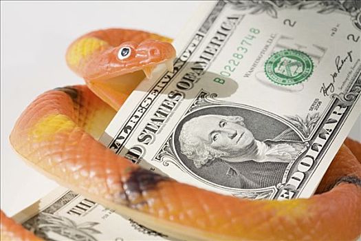 小雕像,蛇,美元钞票