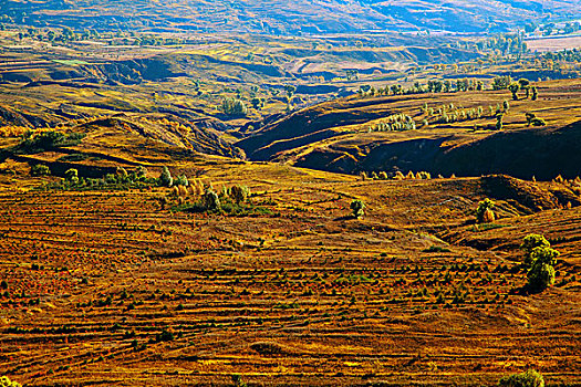 俯视秋天山谷中的平地