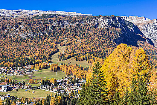 秋天,落叶松属植物,彩色,阿尔卑斯山,白云岩,意大利