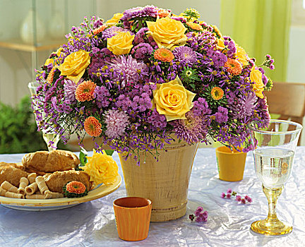 安放,玫瑰,菊花,紫苑属