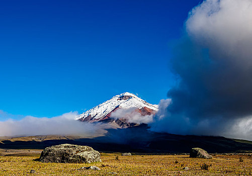 火山,国家公园,省,厄瓜多尔,南美