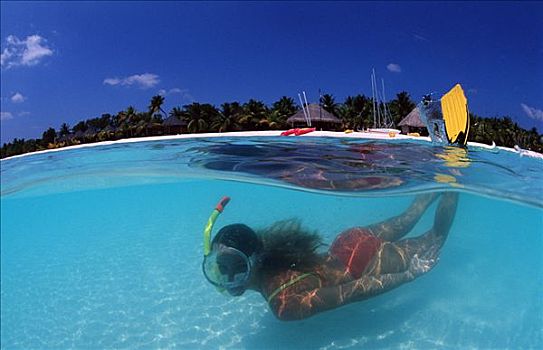 潜水,女人,靠近,马尔代夫,岛屿,古丽都岛