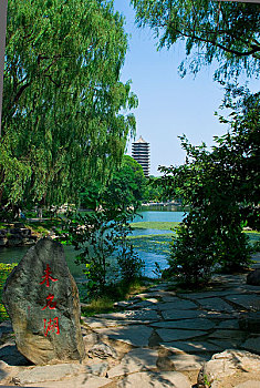 北京大学的未名湖湖畔风景