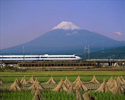 富士山,子弹头列车,稻田,本州,日本
