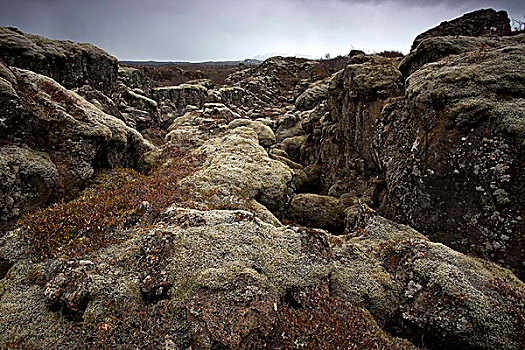苔藓密布,火山岩,石头,国家公园,金色,圆,冰岛,欧洲