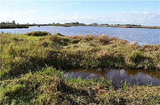 湿地,自然保护区,绿色,靠近,自然,纪念碑,乡村,北方,荷兰