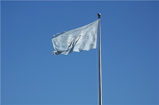 联合国,旗帜
