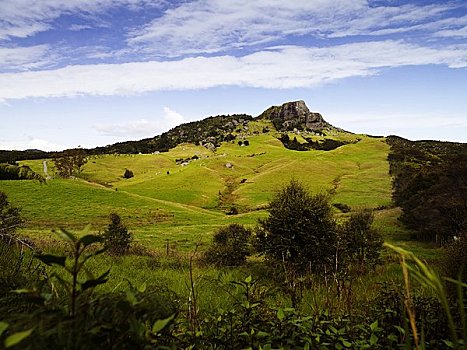 山坡,草场,南岛,新西兰