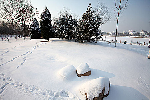 大雪,洁白,干净,寒冷,白色,覆盖,扫雪,便道,雪景,行走