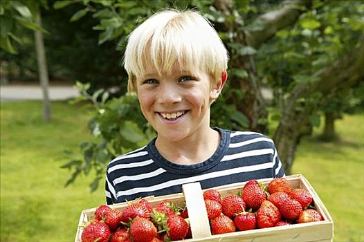 金发,男孩,篮子,草莓,花园