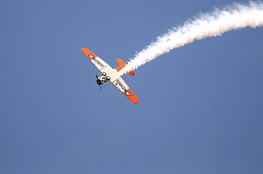 新西兰,北岛,奥克兰,北美,航空,飞行表演,2009年