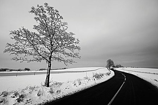 道路