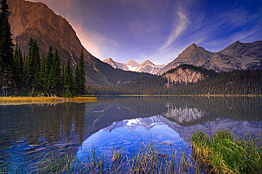 日出,高山湖,麋鹿,湖,省立公园,不列颠哥伦比亚省,加拿大