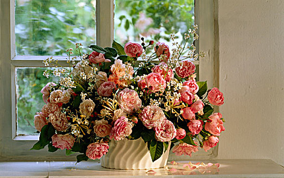花束,粉色,玫瑰,正面,窗户