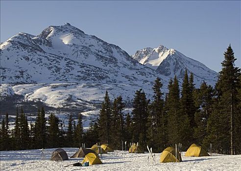帐篷,冬天,露营,白色,后面,小路,不列颠哥伦比亚省,加拿大
