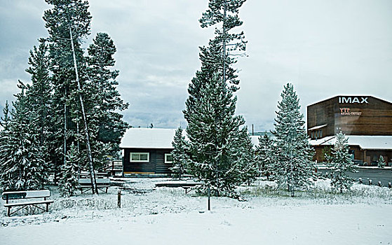 黄石国家公园,yellowstonenationalpark