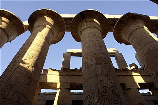 路克索神庙,尼罗河,埃及,庙宇,植物,卡尔纳克神庙
