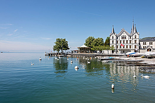 城堡,日内瓦湖,靠近,洛桑,沃州,西部,瑞士