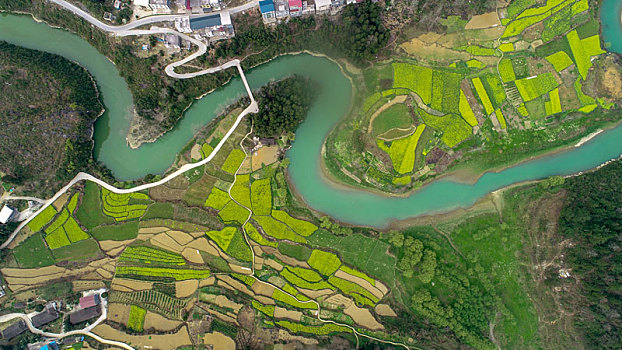 重庆酉阳,油菜花开,扮靓乡村