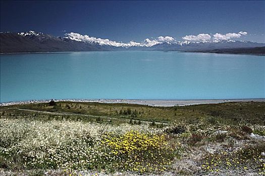普卡基湖,库克山,区域,新西兰