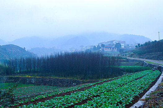 秋雨江南