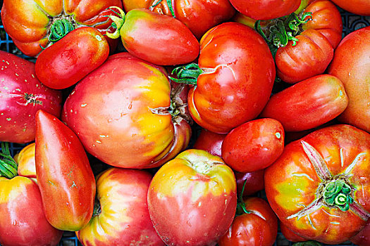 西红柿,不同,形状,尺寸