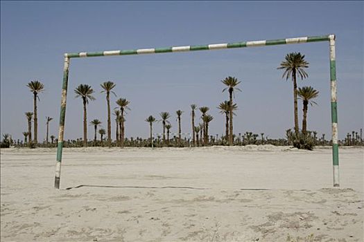 沙,足球场,正面,棕榈树,摩洛哥