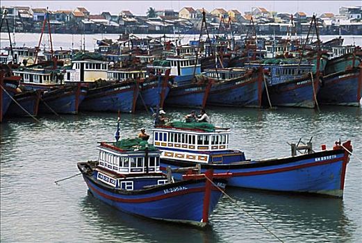 越南,芽庄,彩色,渔船,湾