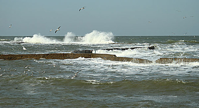 海滨风景