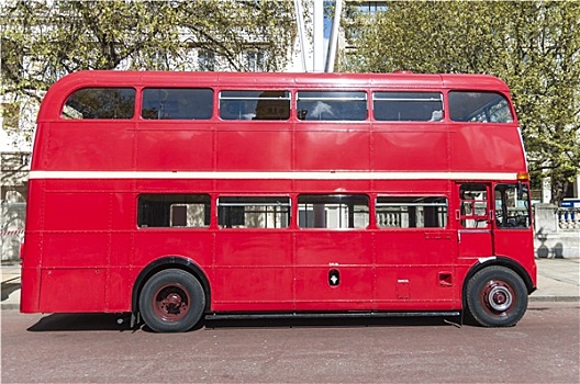 伦敦,著名,红色,巴士