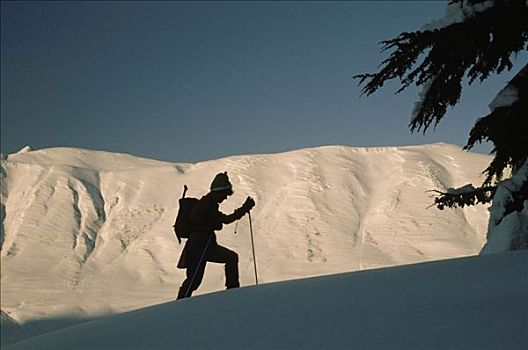 越野滑雪,冬天