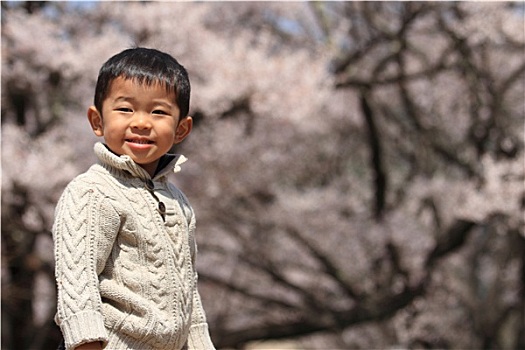 日本人,男孩,樱花,3岁