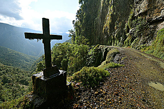 路边,十字架,死亡,道路,玻利维亚,南美