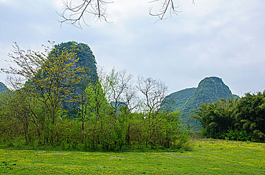 桂林田园风光