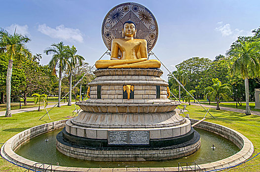 美景,金色,佛像,公园,科伦坡,斯里兰卡
