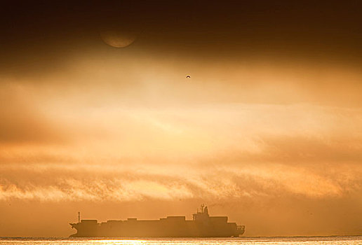 货船,船,旧金山湾,加利福尼亚
