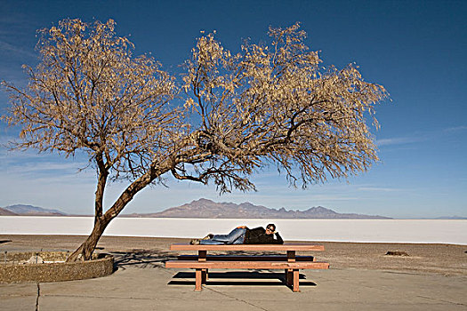 女人,躺着,野餐桌,树,微笑,摄影,公路,盐滩,犹他