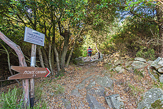 远足,小路,蒙特卡罗,厄尔巴岛,岛屿,里窝那,省,托斯卡纳,意大利