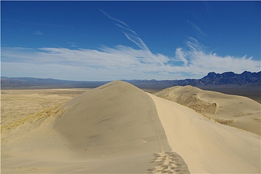 风景,莫哈韦沙漠,沙丘,加利福尼亚
