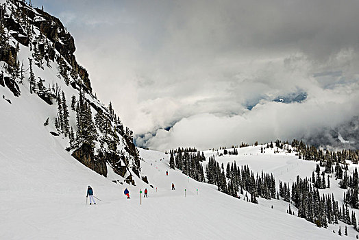 旅游,滑雪板,滑雪,积雪,山,惠斯勒,不列颠哥伦比亚省,加拿大