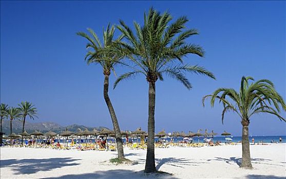 棕榈海滩,马略卡岛,巴利阿里群岛,西班牙,欧洲