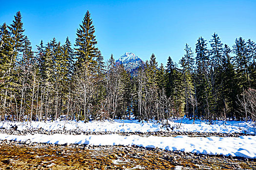 冬季风景,河,雪,树林,奥地利