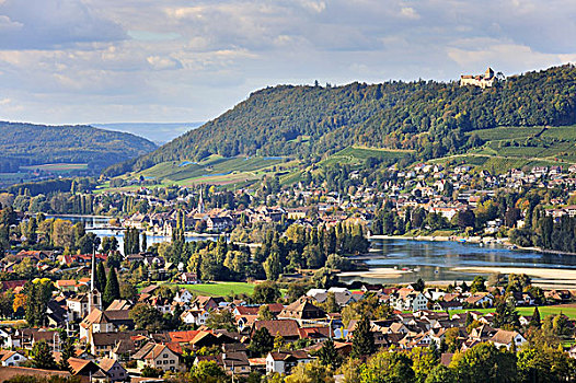 风景,上方,城镇,南,堤岸,湖,莱茵,城堡,瑟尔高,瑞士,欧洲